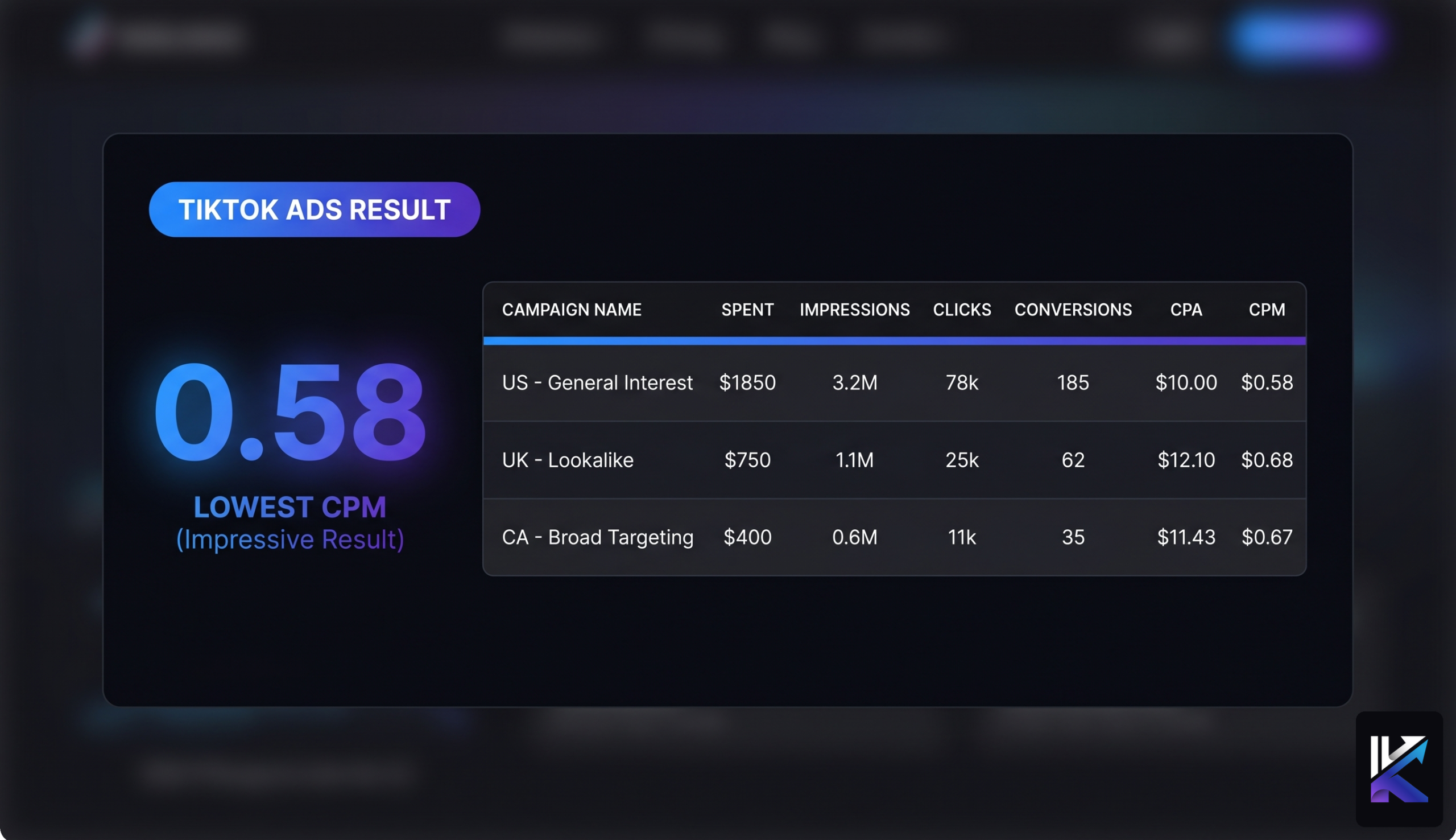 TikTok Ads Campaign Results